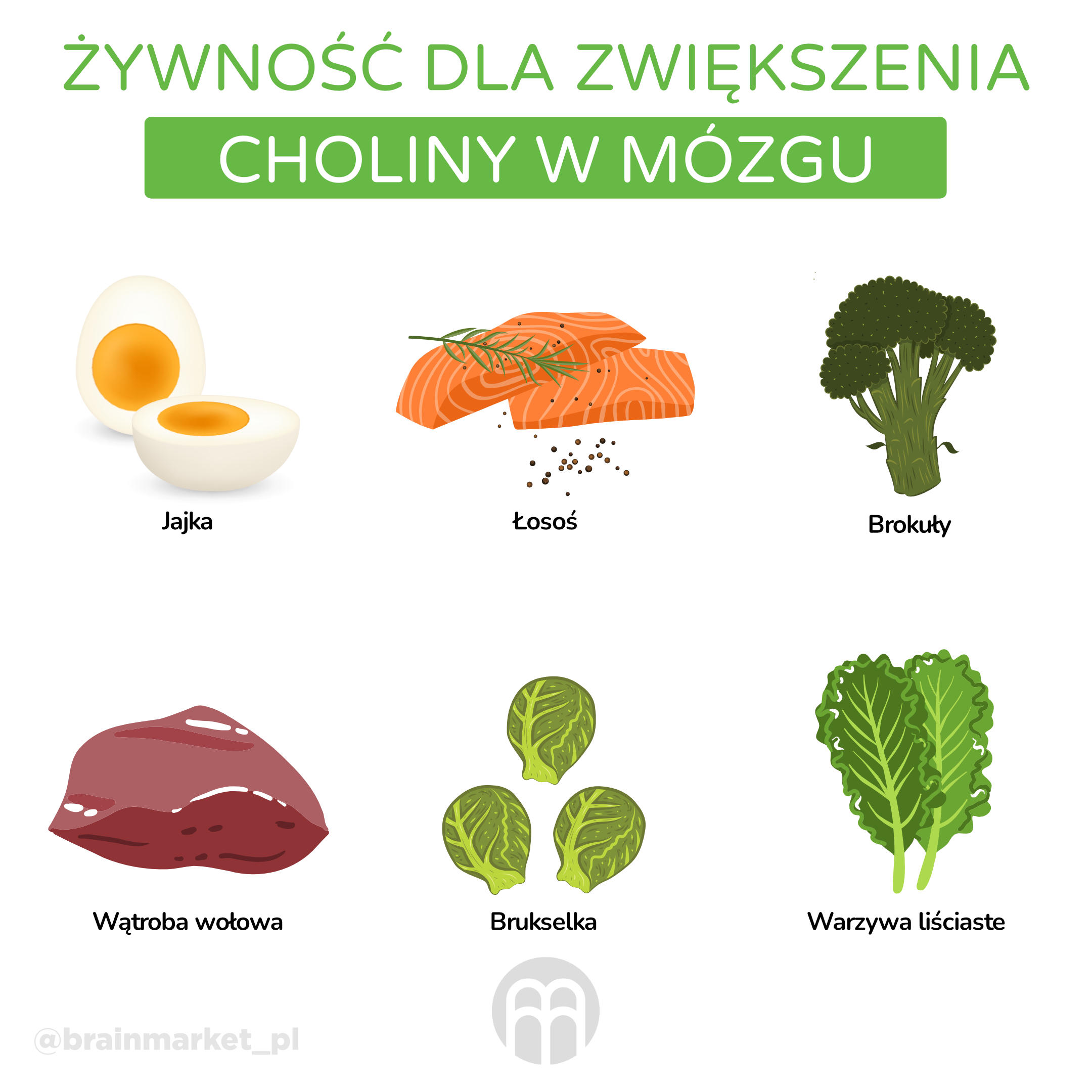 6 potravin pro zvyseni cholinu v mozku_infografika_pl